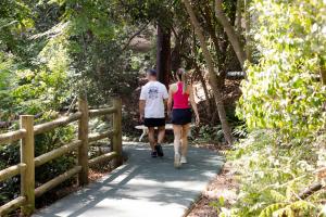 people walking outdoors.