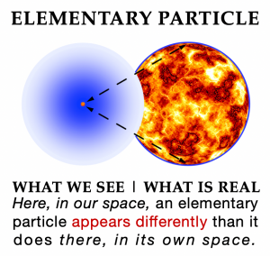 Elementary Particle