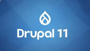 Drupal 11 Migration Services