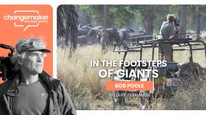 Bob Poole filming elephants in the wild, promoting his presentation In the Footsteps of Giants at the Blackhawk Museum in Danville, California.
