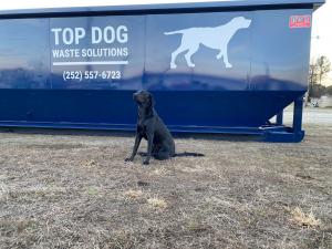 Close-up view of a Top Dog Waste Solutions roll-off dumpster with a black Labrador sitting in the foreground