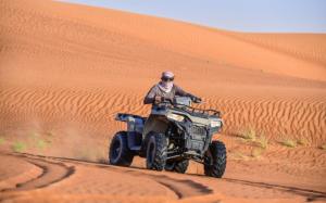 Dune Buggies Dubai and Falcon