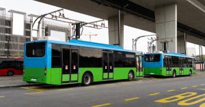 Green buses