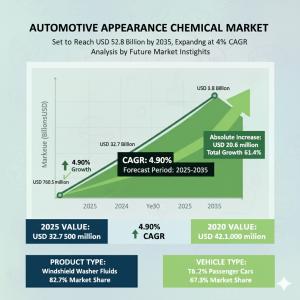 Automotive Appearance Chemical Market