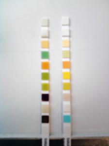 PH Test Strips Market - 2019-2025