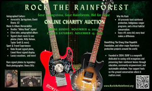 Promotional poster for Rock the Rainforest Online Charity Auction, featuring two autographed guitars — one red and one black — signed by famous musicians including Aerosmith, Bruce Springsteen, David Bowie, and U2. The poster lists additional auction high