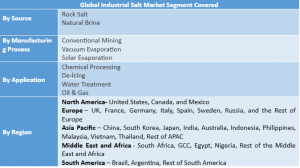 Industrial Salt Market Segment