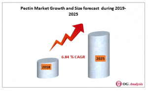 Pectin Market Growth and Size forecast  during 2019-2025