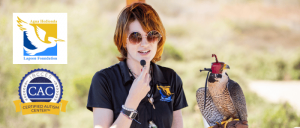 A person in a black polo shirt holds a falcon on a leather glove, with a natural landscape in the background.