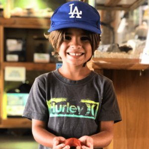 A child wearing a blue Los Angeles Dodgers cap and a gray Hurley t-shirt holds a small red object with both hands in a museum setting.