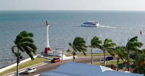 Rooftop view of the shoreline, with a ferry navigating away from the shore and palm trees flowing with the wind.