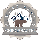 Elwart Family Chiropractic Care Clinton Township MI