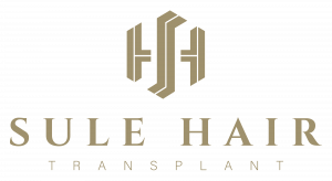 Sule Hair logo