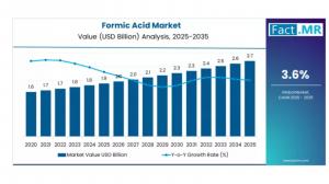 Formic Acid Market