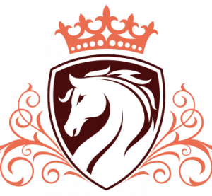 פרו קלאסיק אביזרים לרכיבה על סוס