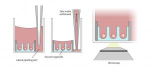 U-shaped microcavities