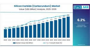 Silicon Carbide (Carborundum) Market