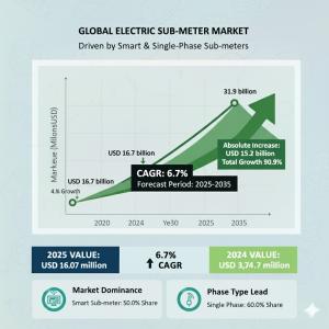 electric sub-meter market