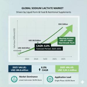 Sodium Lactate Market