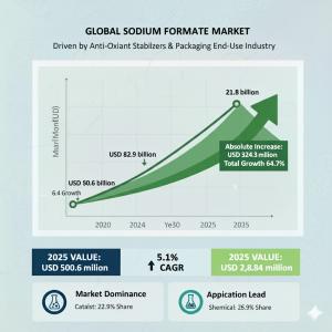 Sodium Formate Market