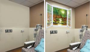 Sunny, Tranquil, Creekside Window's view