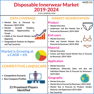 Global Disposable Innerwear Market Overview 2024