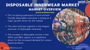 Summary Image of Global Disposable Innerwear Market 2024