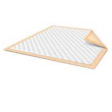 Disposable Underpads Market - 2019-2025