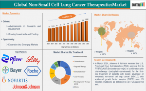 Non-Small Cell Lung Cancer Therapeutics Market