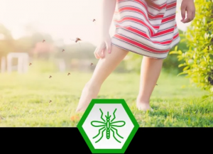 Mosquito Control in Texas