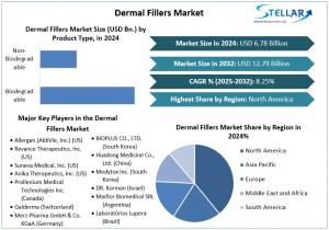 Dermal Fillers Market