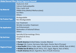 Dermal Fillers Market Segment
