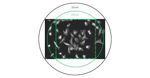 Leo 5514 Field of View