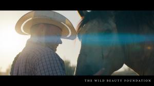 The Lost Horses:  A Veteran's Heart