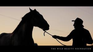 The Lost Horses:  A Veteran's Heart, Taken Away