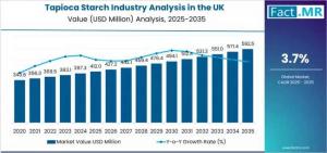 Tapioca Starch Industry Analysis in the UK