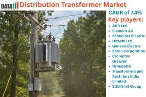 Distribution Transformer Market