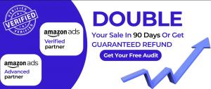 Double your Amazon revenue in 100 days
