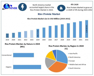 Rice Protein Market
