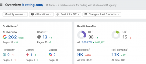 AI Overview - rating IT companies in USA
