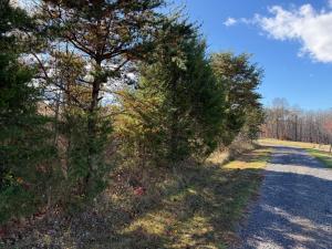 5.215 +/- acre mostly wooded lot in Orange County, VA, Private lane accessed by a 30' recorded easement; lot is at the corner of Tinder & Ridge View Lanes, Driveway is in place, Gently elevated homesite overlooking adjoining farm