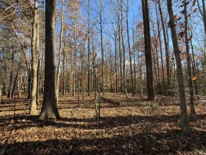 5.215 +/- acre mostly wooded lot in Orange County, VA, Private lane accessed by a 30' recorded easement; lot is at the corner of Tinder & Ridge View Lanes, Driveway is in place, Gently elevated homesite overlooking adjoining farm