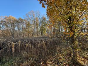 5.215 +/- acre mostly wooded lot in Orange County, VA, Private lane accessed by a 30' recorded easement; lot is at the corner of Tinder & Ridge View Lanes, Driveway is in place, Gently elevated homesite overlooking adjoining farm