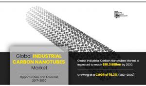 Industrial Carbon Nanotubes Market CAGR