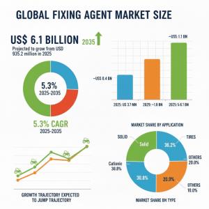 European Fixing Agent Market