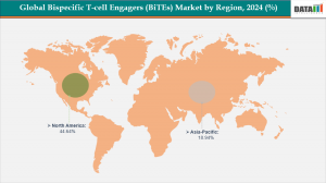 Bispecific T-cell Engagers (BiTEs) Market, by Region