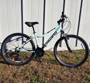 Schwinn mountain bike delivered for a gift