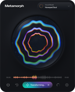 Metamorph graphical user interface.