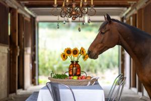 The Ranch at Mt. Laurel Launches for Sale in Kerhonkson, NY — A Modern Hudson Valley Retreat with Timeless Charm