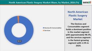 North American Plastic Surgery Market Share, By Region